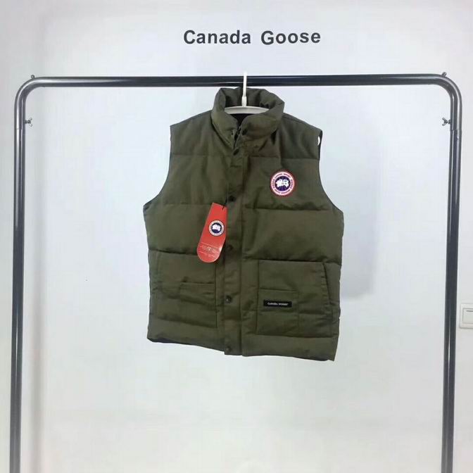 canada goose-026